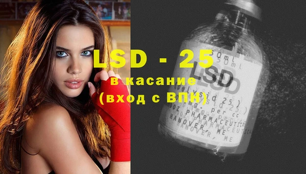 спиды Аркадак