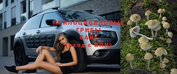 прущие крисы Арсеньев