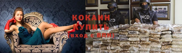 прущие крисы Арсеньев